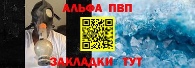 стафф Берёзовский