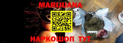 прущие грибы Бийск