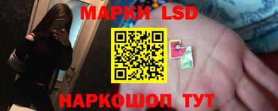 прущие грибы Бийск