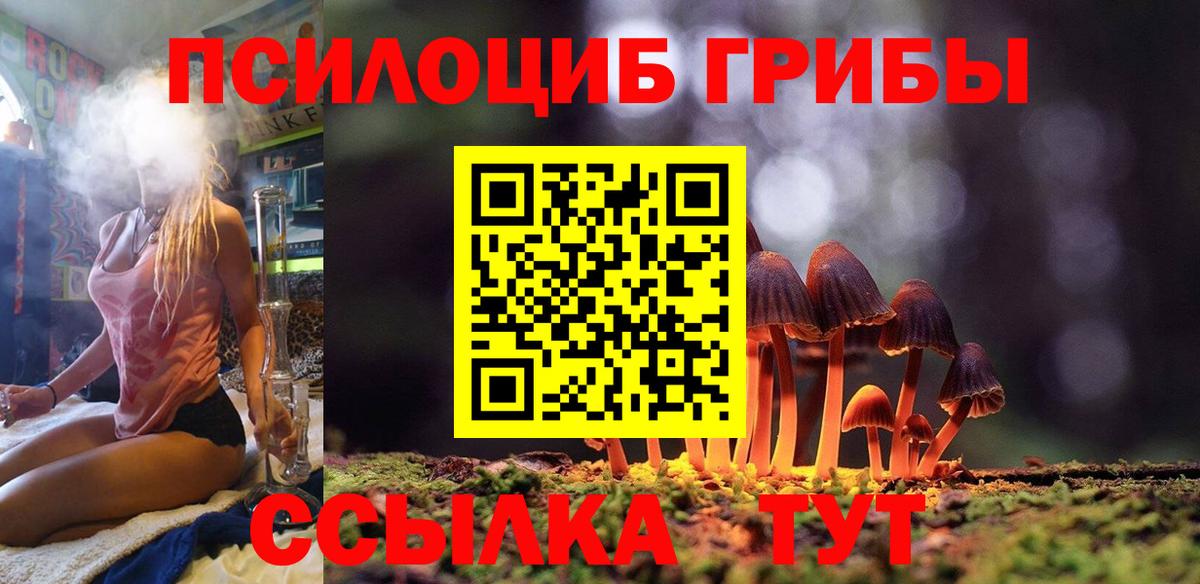 Псилоцибиновые грибы Magic Shrooms Зима